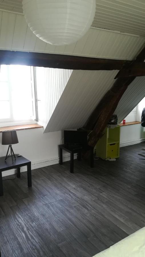 Appartement spacieux vue sur Loire proche du centre Blois Extérieur photo
