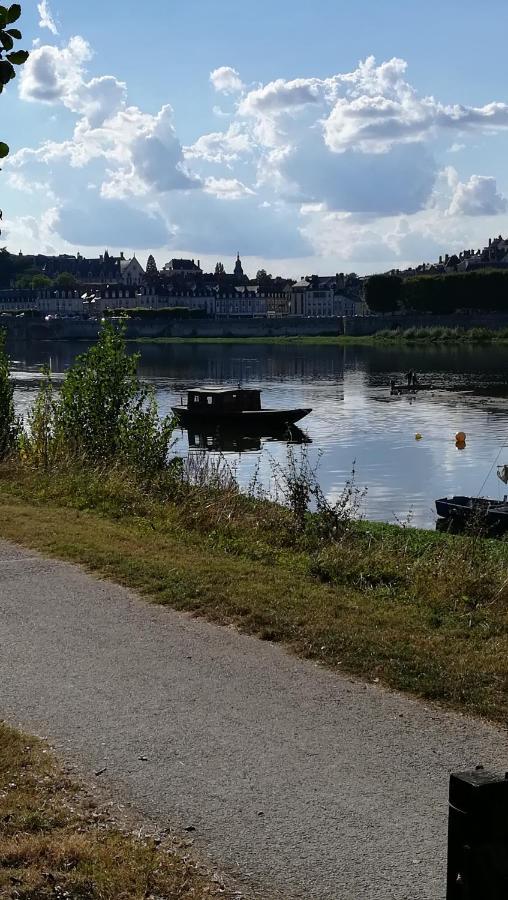 Appartement spacieux vue sur Loire proche du centre Blois Extérieur photo
