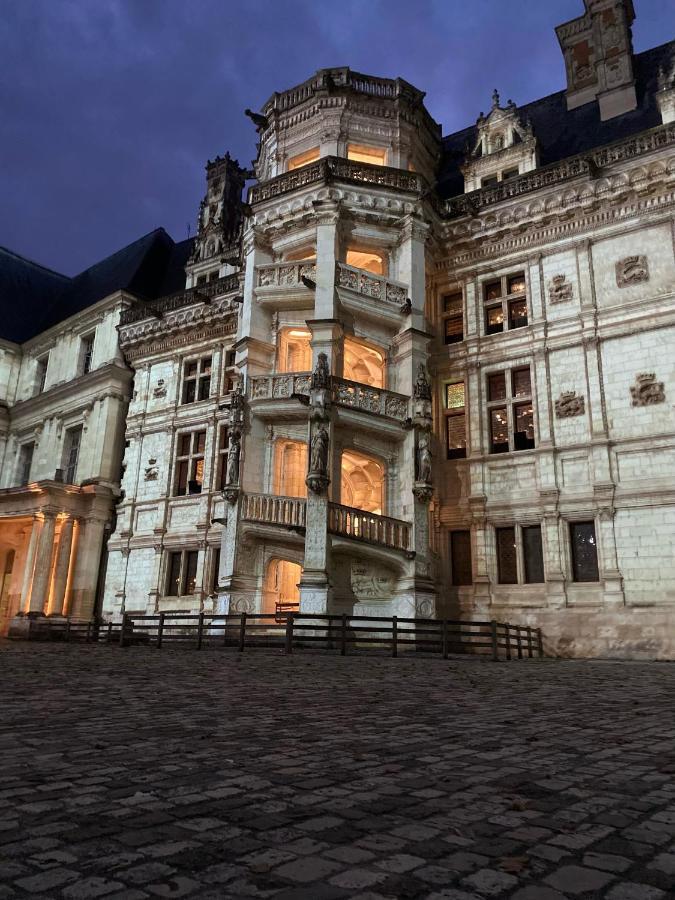 Appartement spacieux vue sur Loire proche du centre Blois Extérieur photo