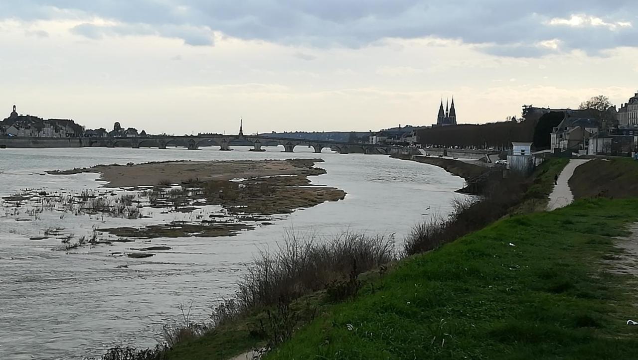 Appartement spacieux vue sur Loire proche du centre Blois Extérieur photo